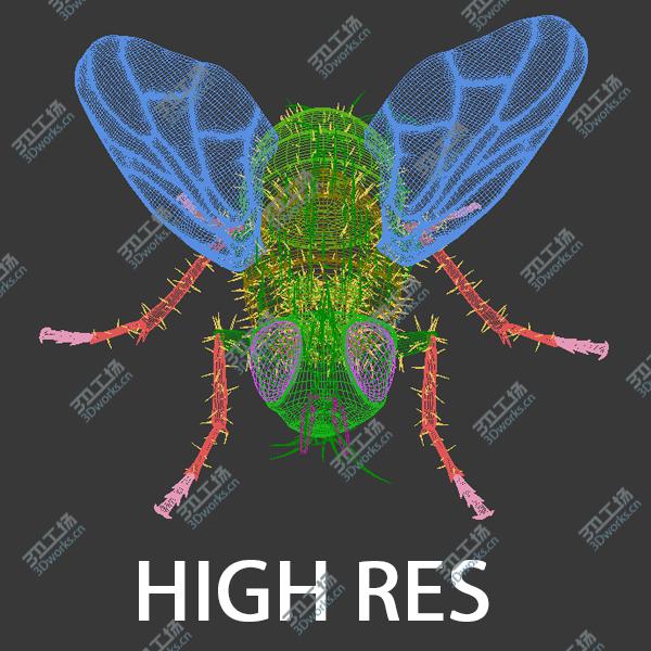 images/goods_img/202104092/Fly realistic!  (RIGGED)(VRAY)/5.jpg